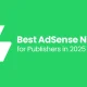 Best AdSense Niches for Publishers