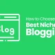 How to Choose the Best Niche for Blogging